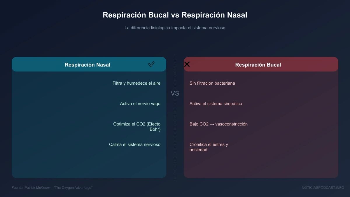 Infografía visual con conceptos clave de la lección en el podcast
